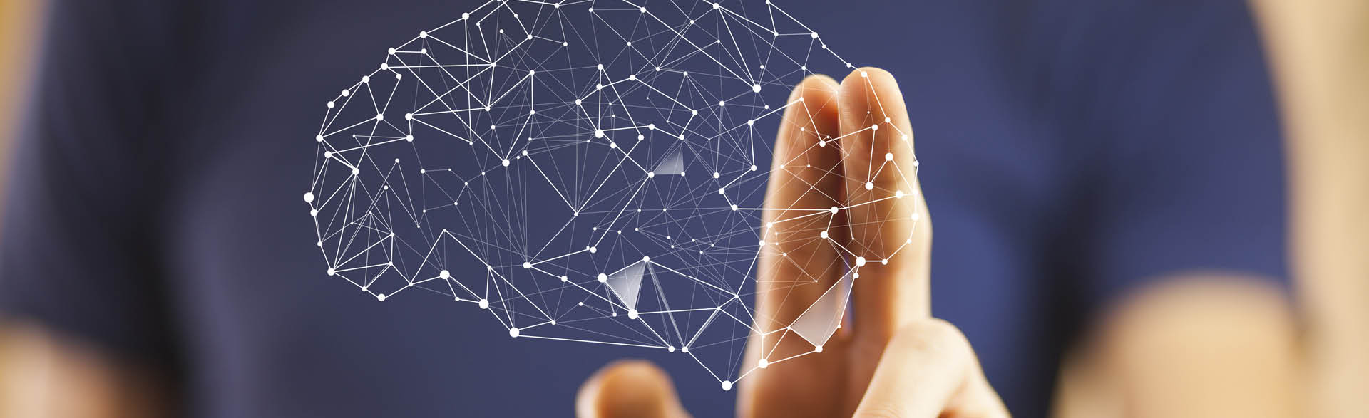 Neuronalenetze eines Gehirns