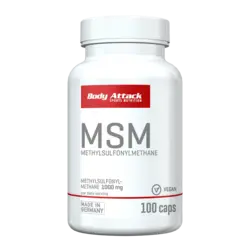 Eine Dose MSM 100 Caps