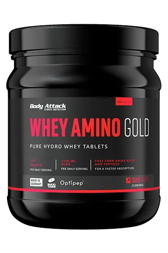 Eine Dose Whey Amino Gold