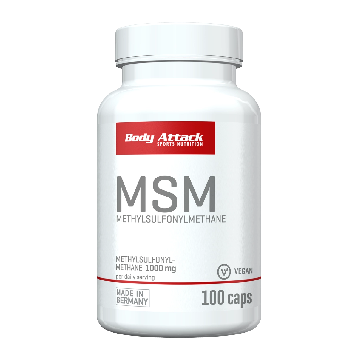 Eine Dose MSM 100 Caps