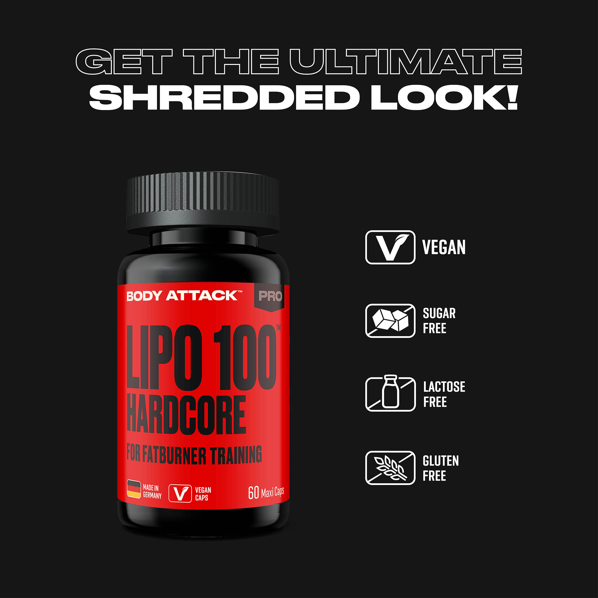 Lipo 100 Hardcore Informationsbanner